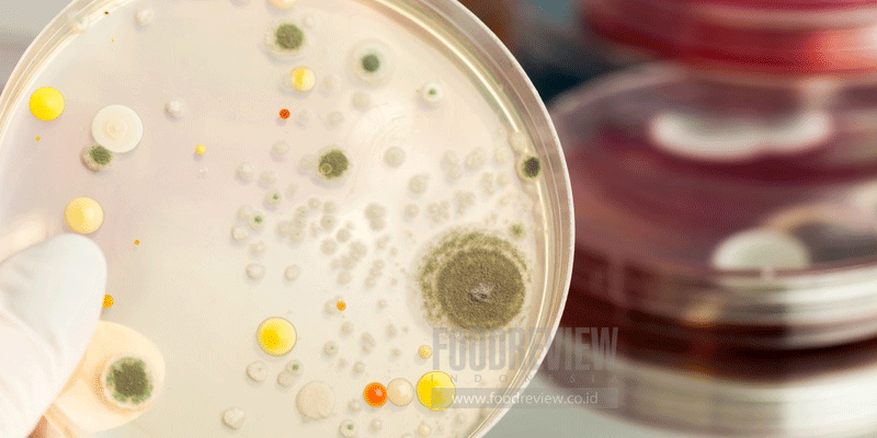 Pengaruh Sugar Glass Terhadap Stabilitas Antibakteri